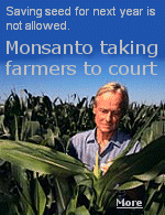 Monsanto Corporation has filed 90 lawsuits in 25 states involving 147 American farmers and 39 small businesses or farm companies.